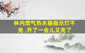 林内燃气热水器指示灯不亮 ,开了一会儿又亮了